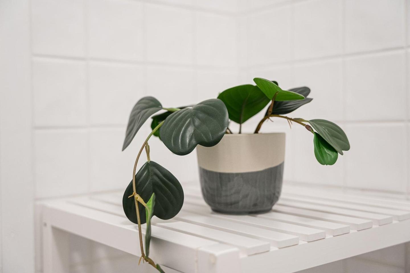 Guestready - A Warm City Refuge In Cedofeita OOporto Esterno foto